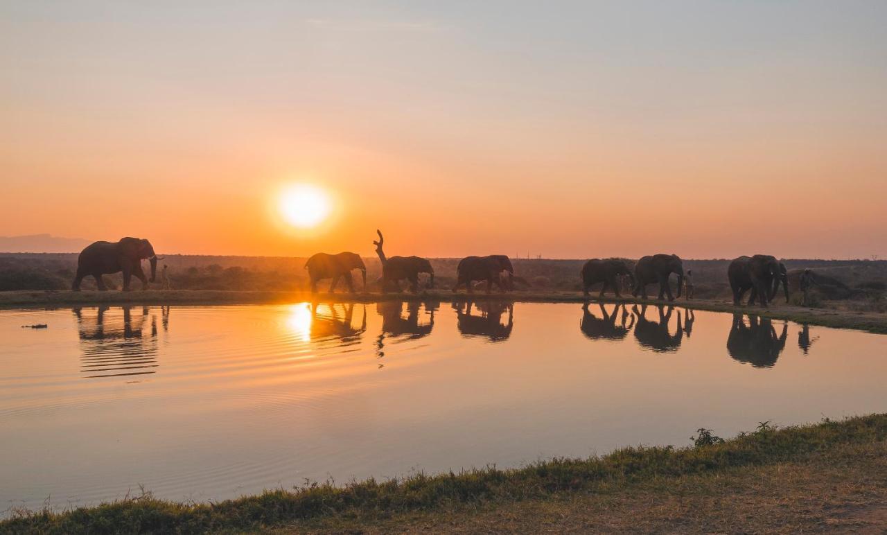 Jabulani Safari Villa Kapama Game Reserve Luaran gambar