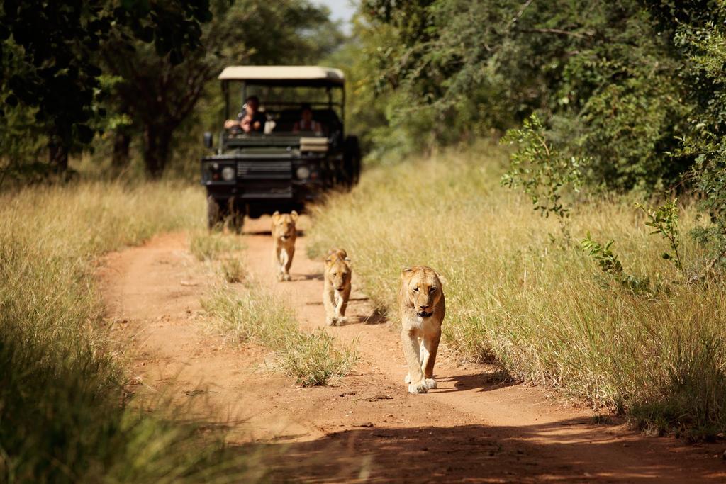Jabulani Safari Villa Kapama Game Reserve Luaran gambar