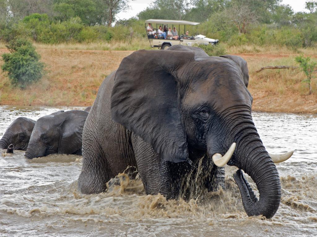 Jabulani Safari Villa Kapama Game Reserve Luaran gambar